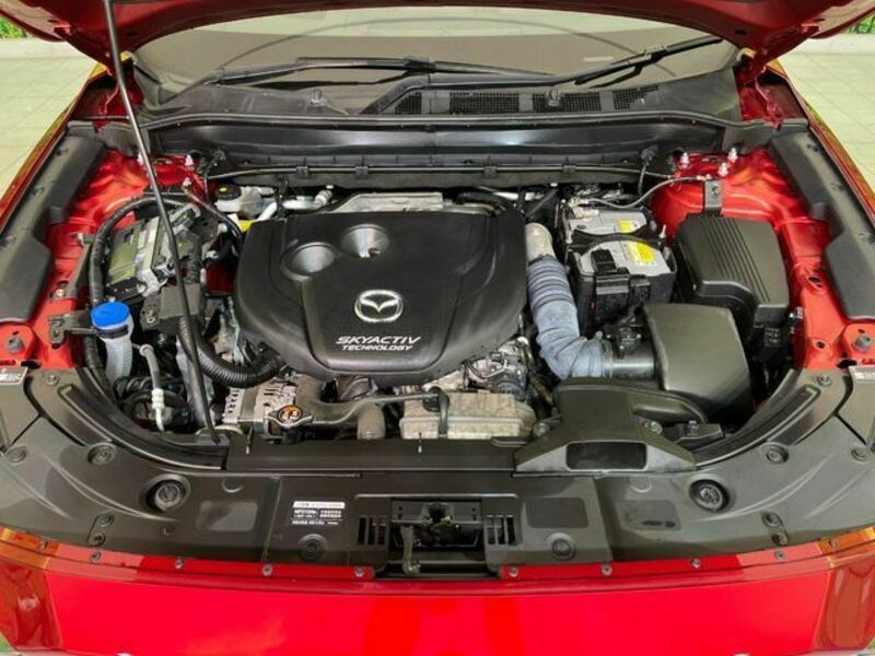 CX-5-17