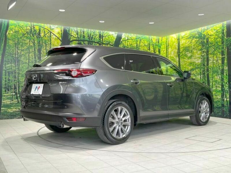 CX-8