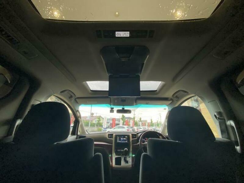 ALPHARD-15