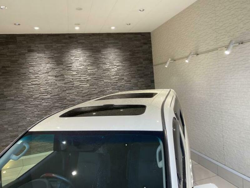 ALPHARD-10