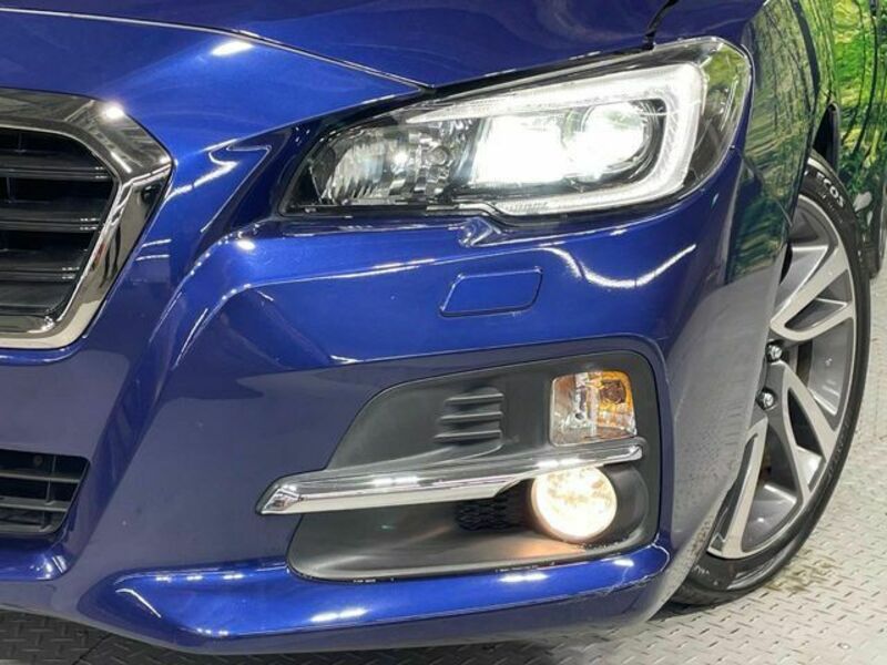 LEVORG