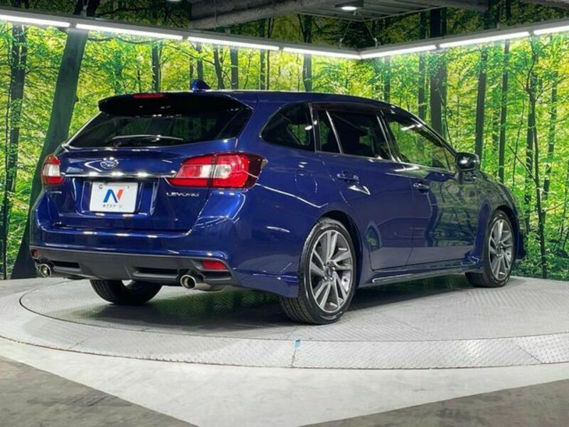 LEVORG