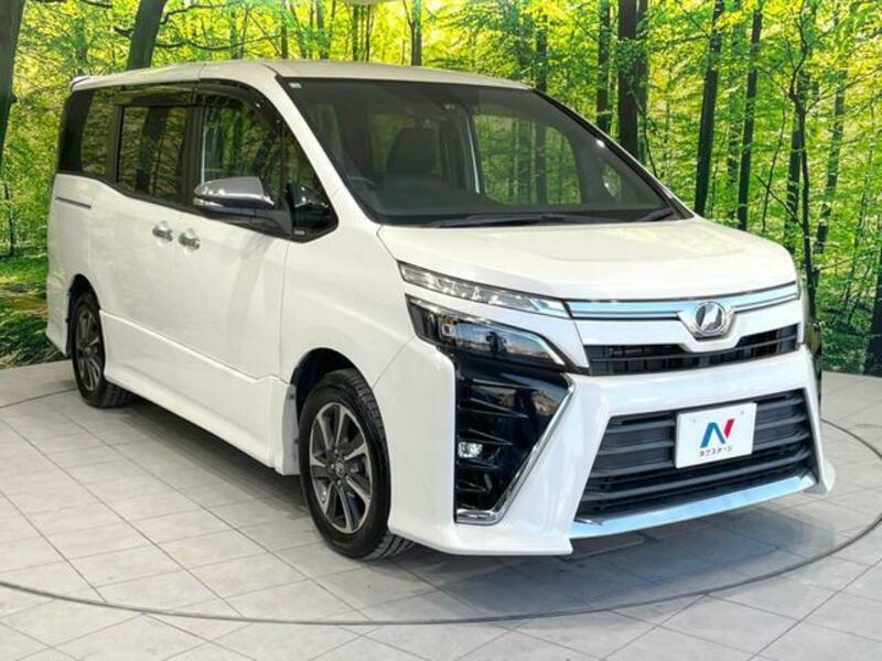 VOXY-17