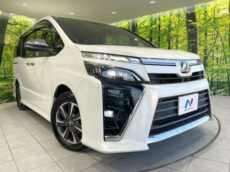 VOXY-13