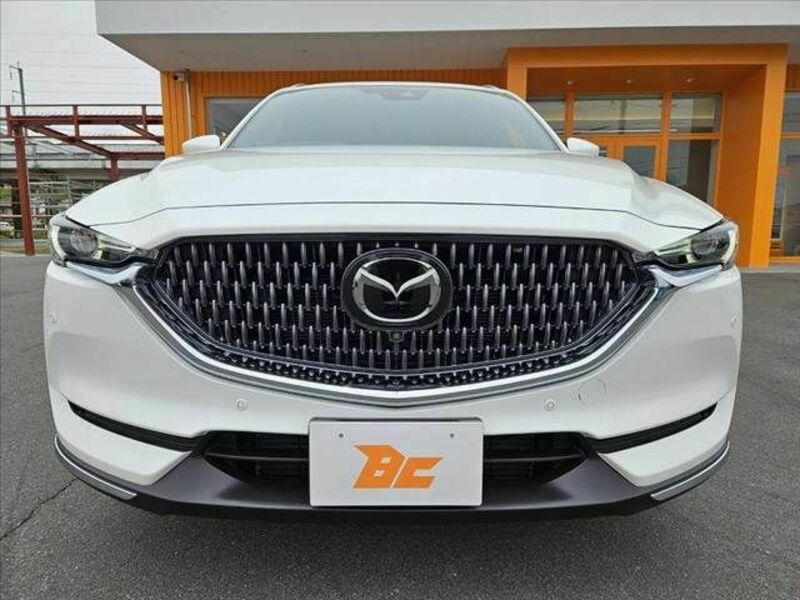 CX-8-8