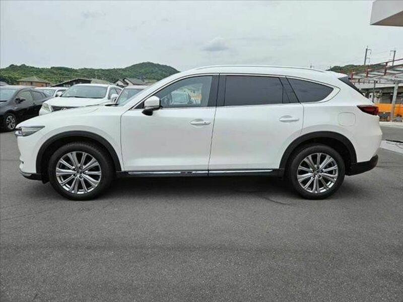 CX-8-10