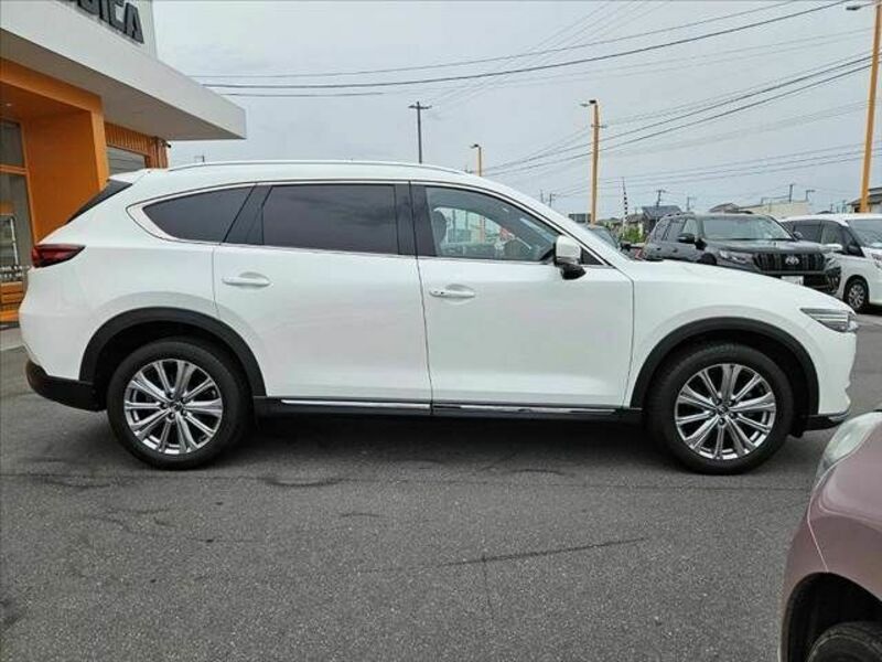 CX-8-11