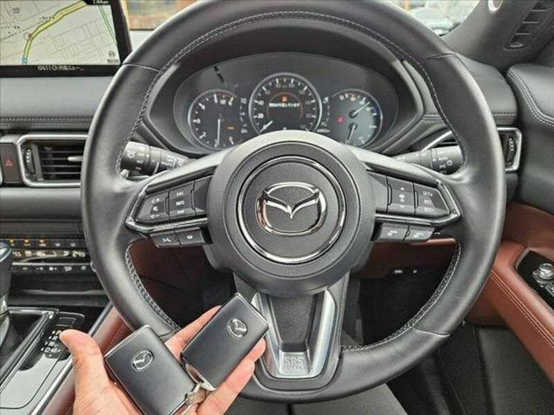 CX-8-24