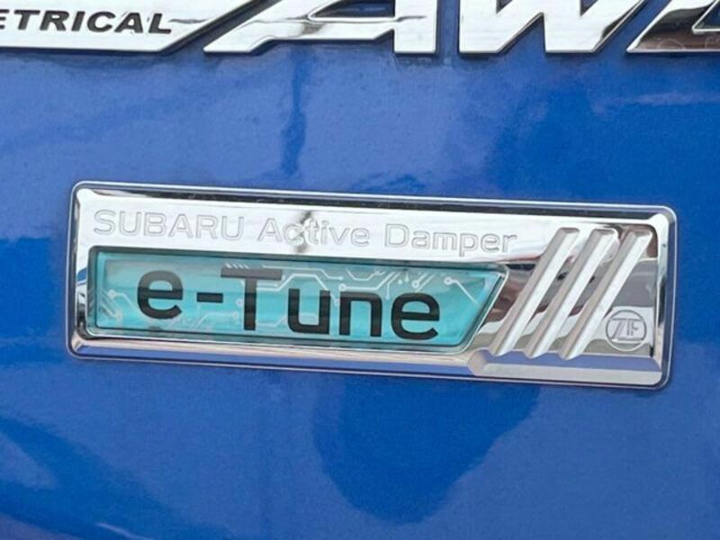 LEVORG-2