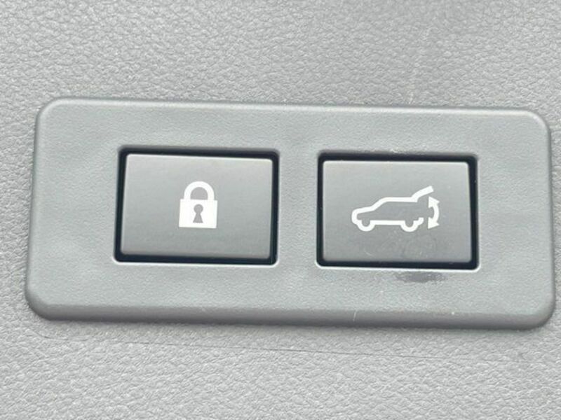 LEVORG-5