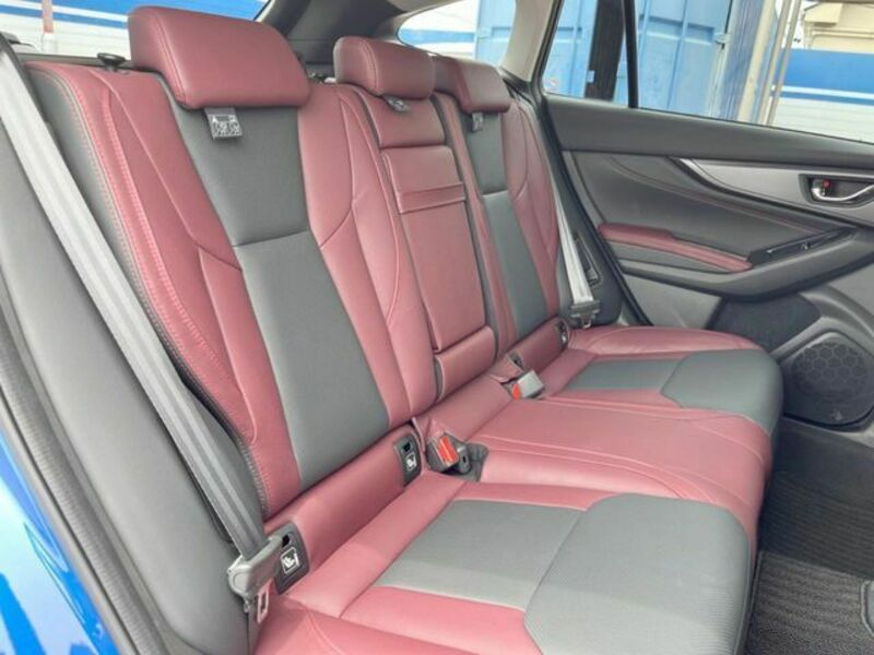 LEVORG-8