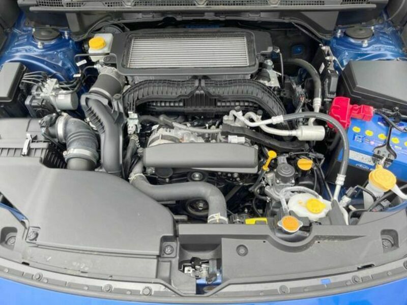 LEVORG-17