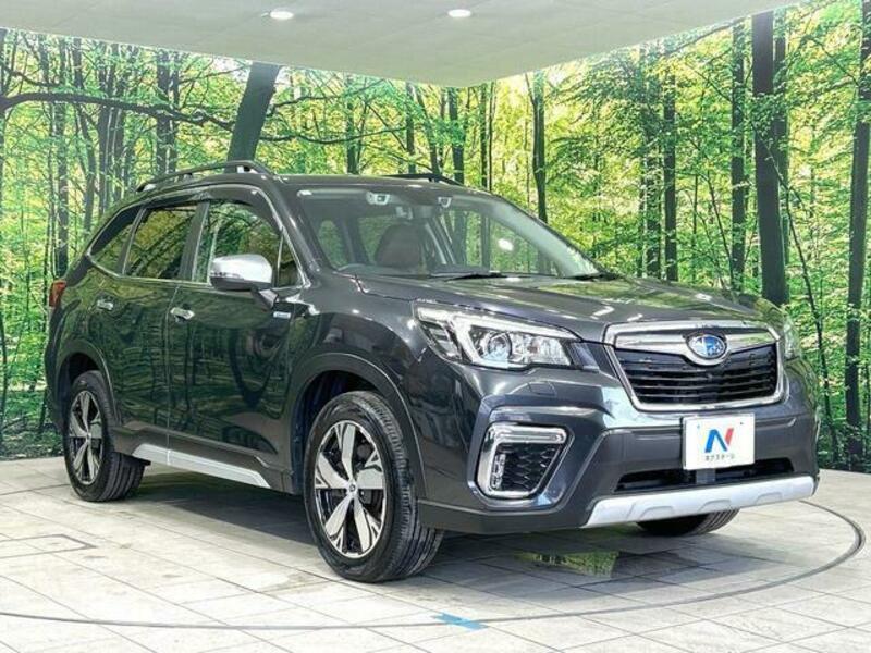 FORESTER-15