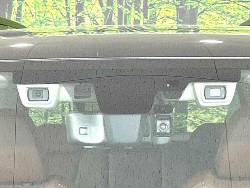 FORESTER-2