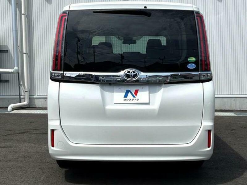 NOAH-19