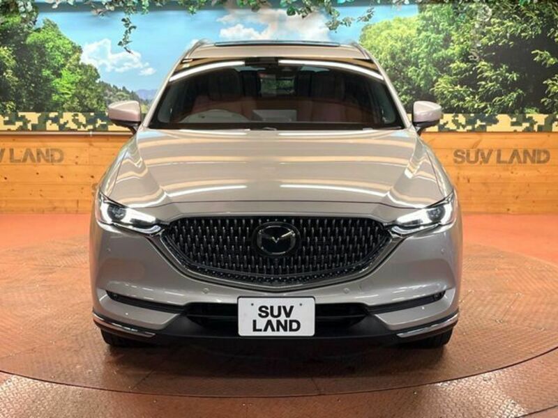 CX-8-17