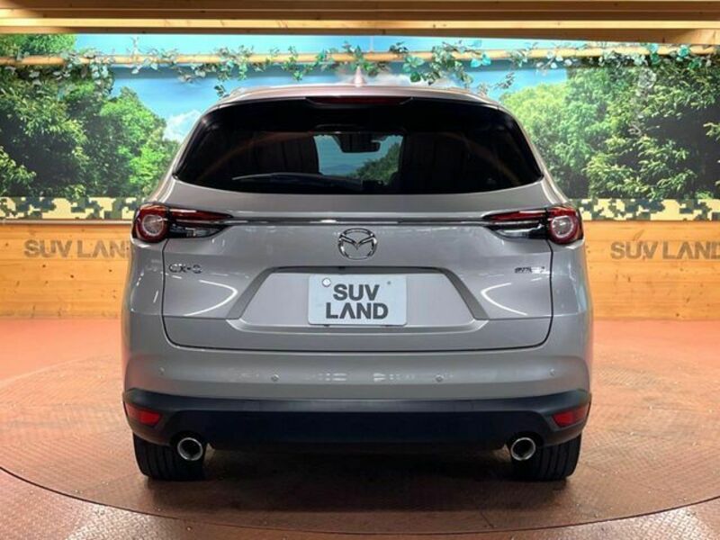 CX-8-18