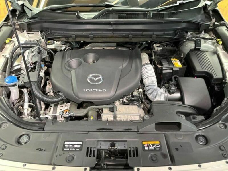 CX-8-19