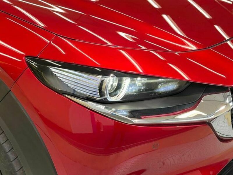 CX-30