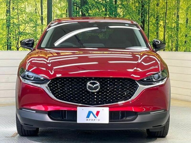 CX-30