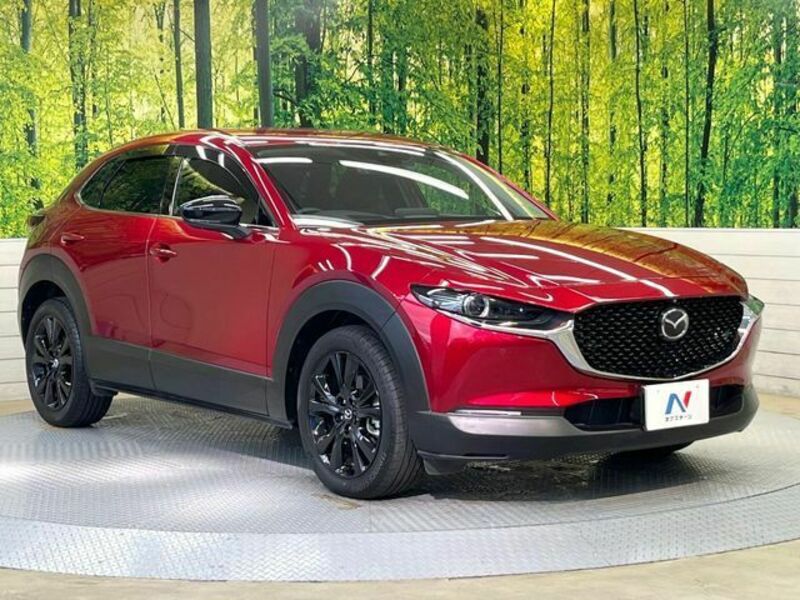CX-30