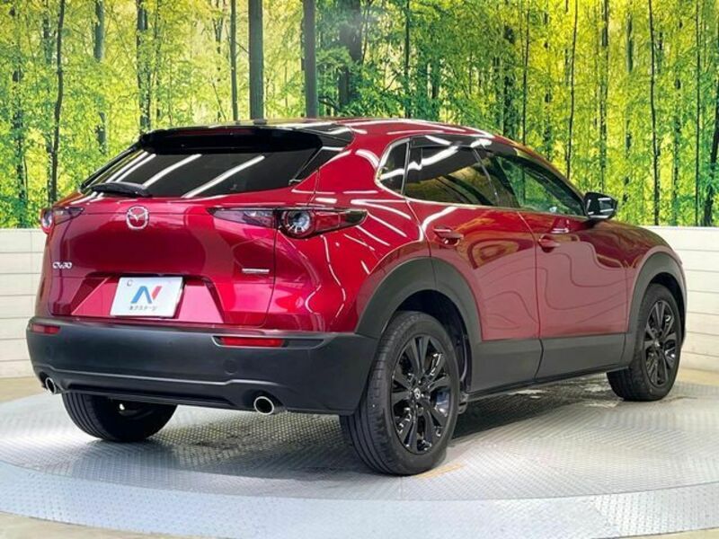 CX-30