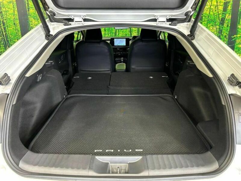 PRIUS-9
