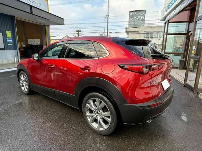 CX-30