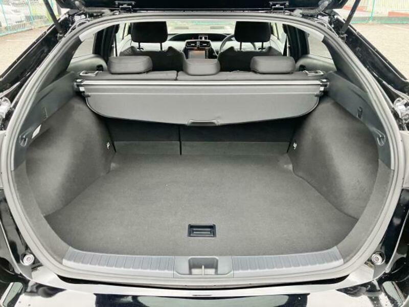 PRIUS-16
