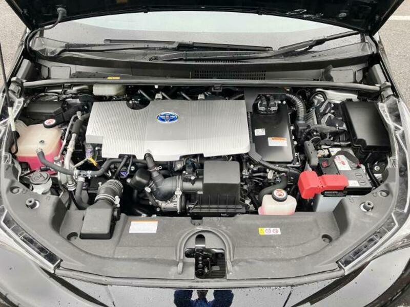 PRIUS-7