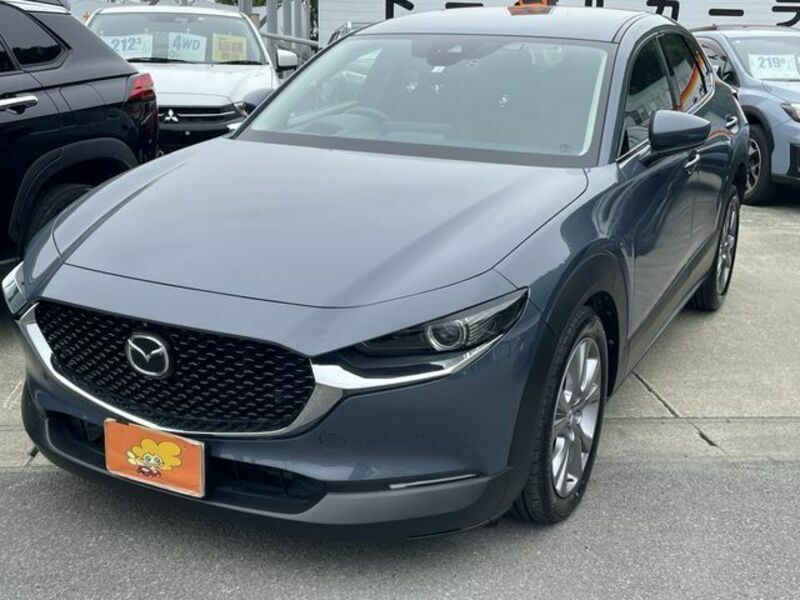 CX-30