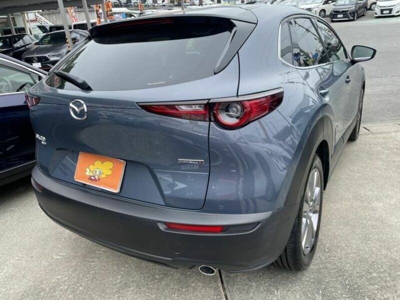 CX-30