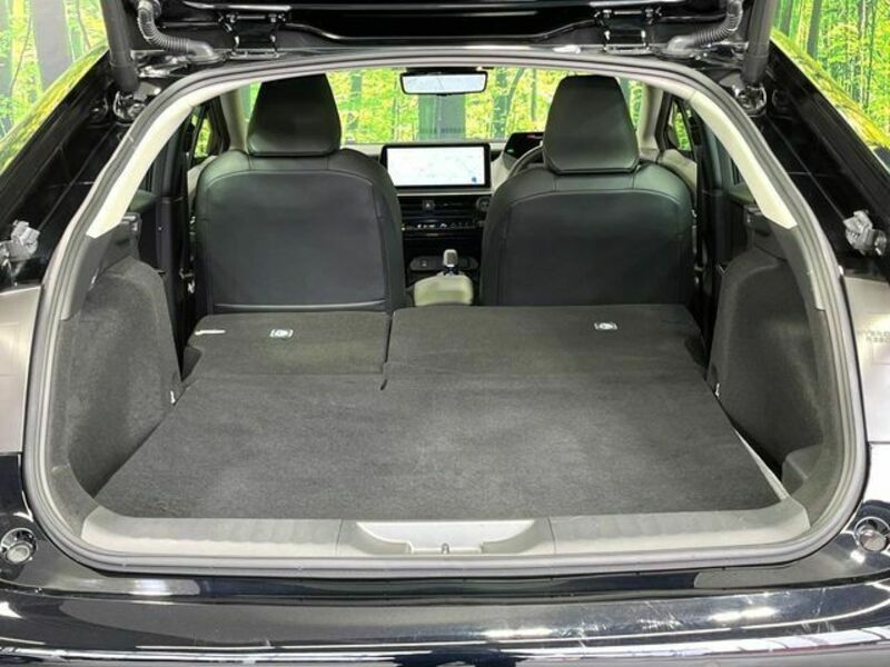 PRIUS-9