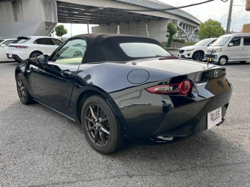 ROADSTER