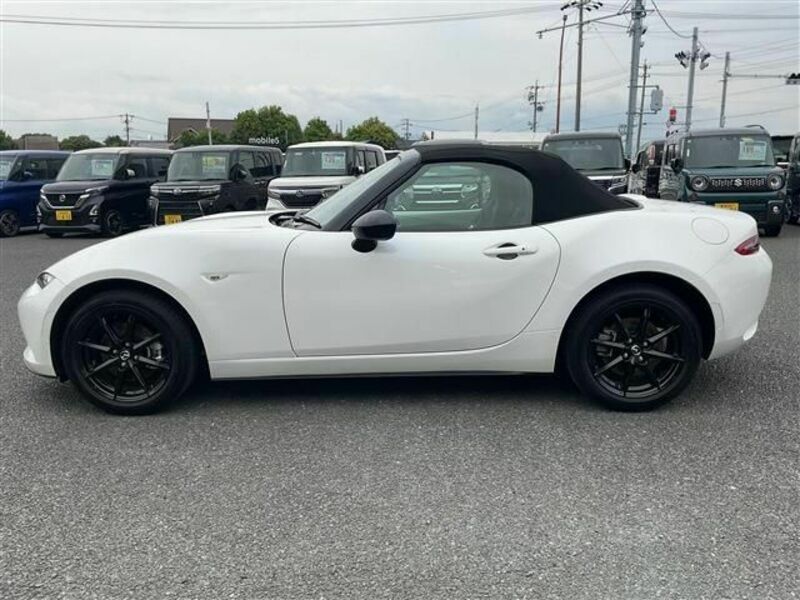 ROADSTER