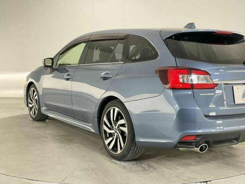 LEVORG