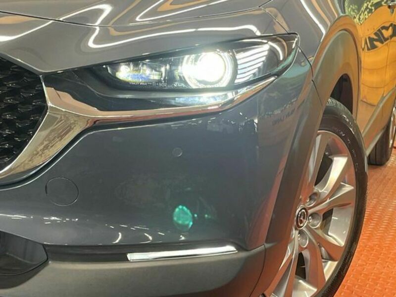 CX-30