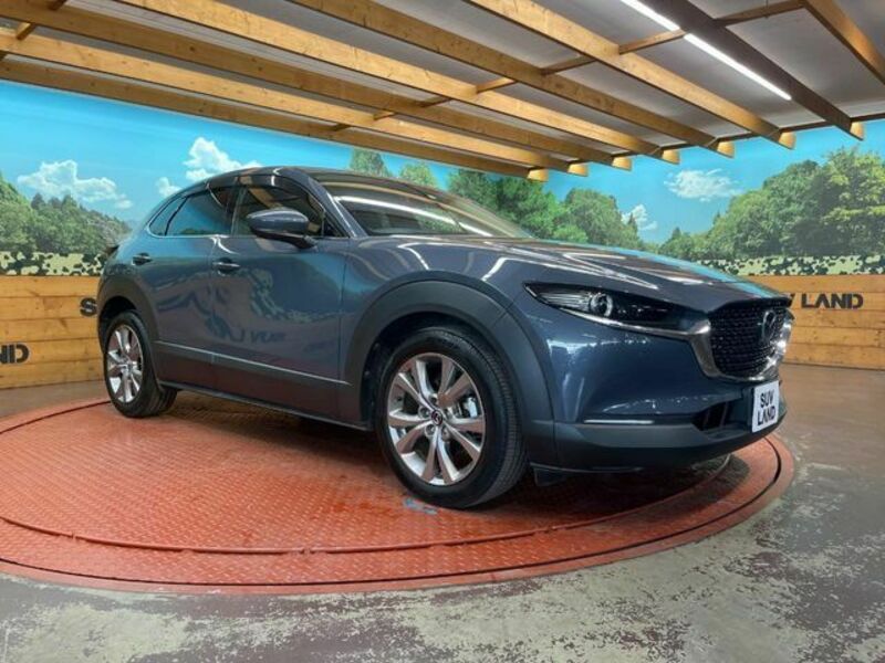 CX-30