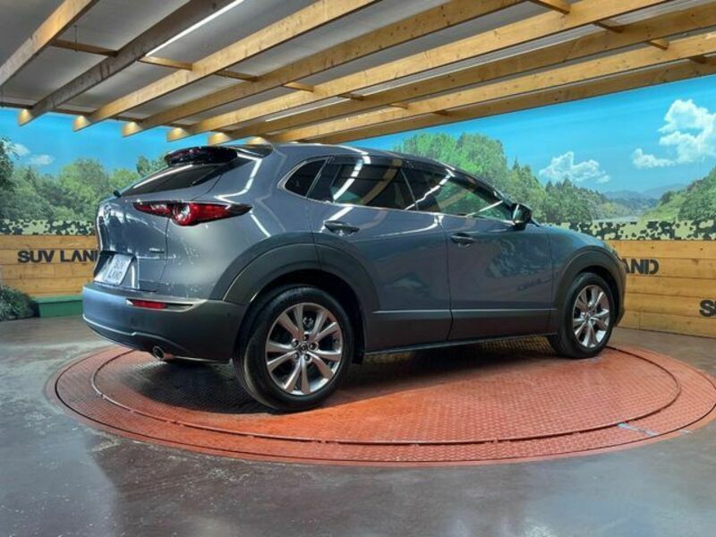 CX-30