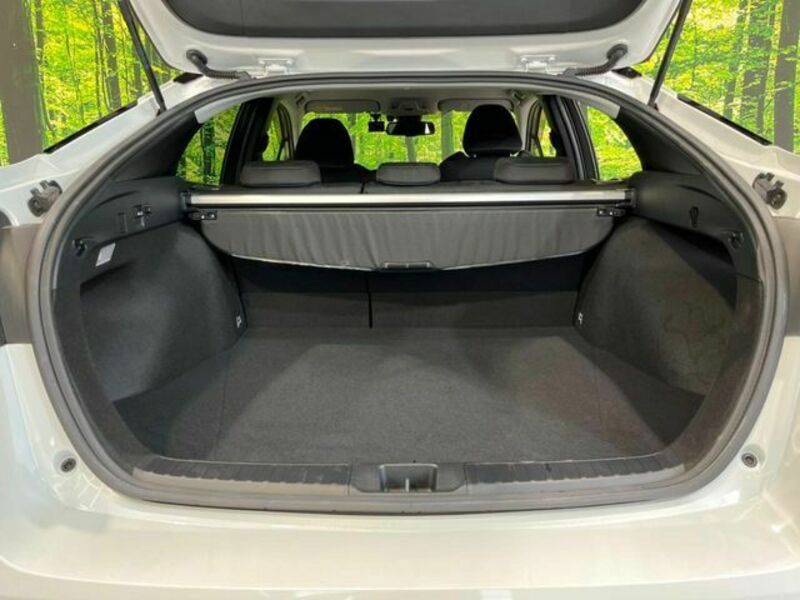 PRIUS-9