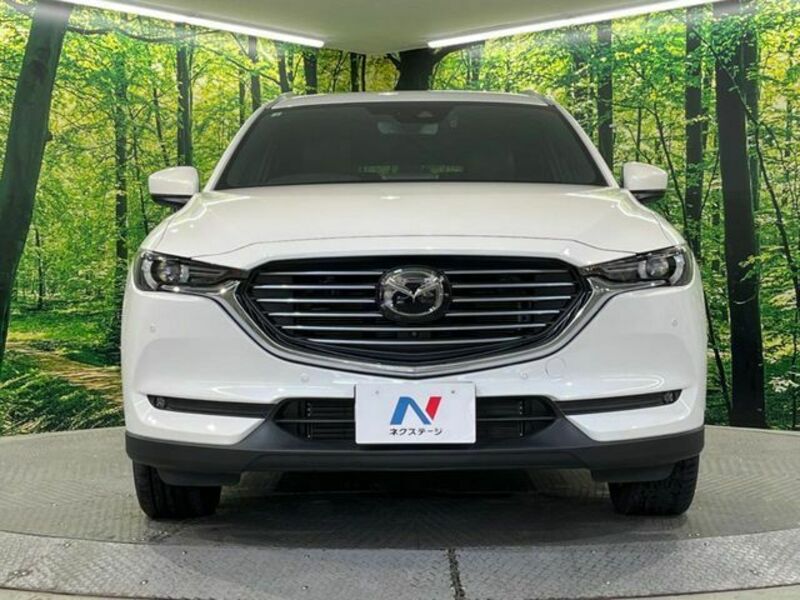CX-8