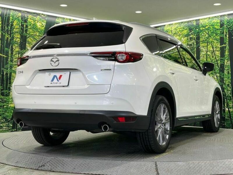 CX-8