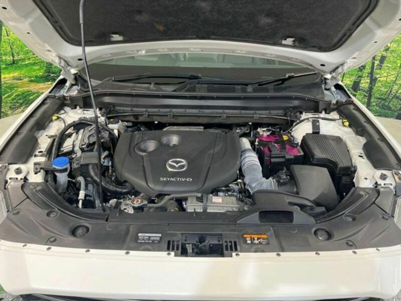 CX-8