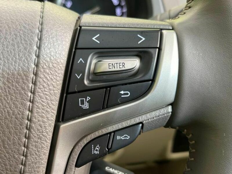 LAND CRUISER PRADO-3