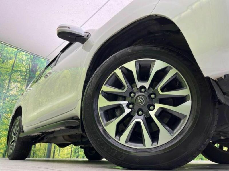 LAND CRUISER PRADO-13