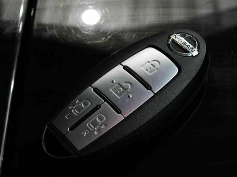 ELGRAND-15