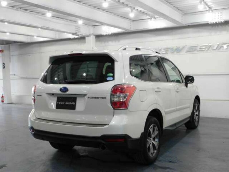 FORESTER