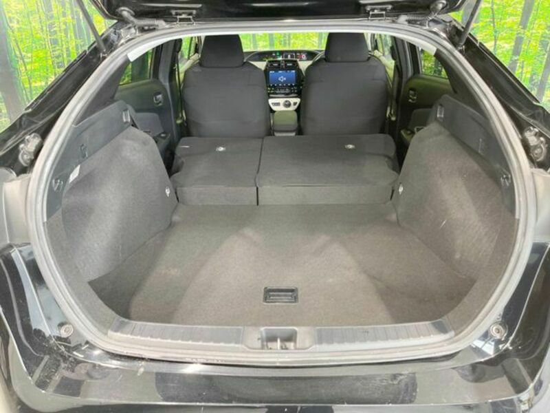 PRIUS-10