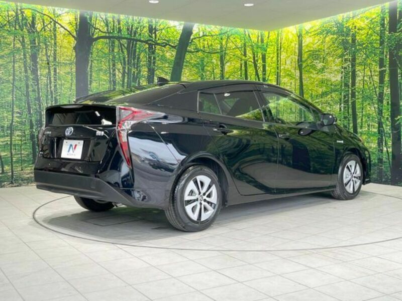 PRIUS-17