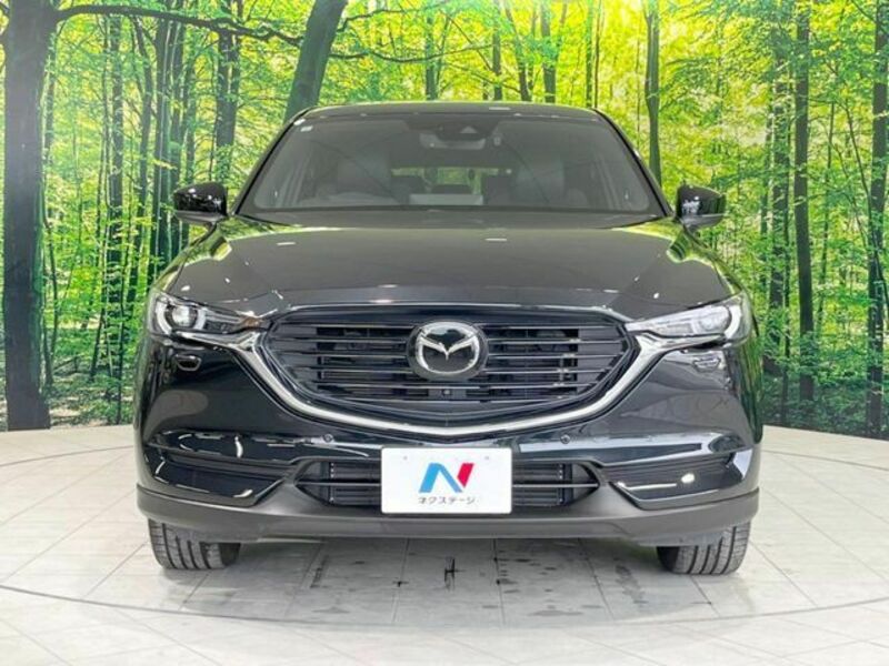 CX-8-14